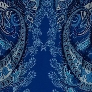 London Paisley Shift💙